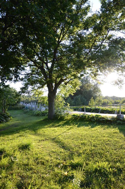 Tobisviks Camping Simrishamn Luaran gambar